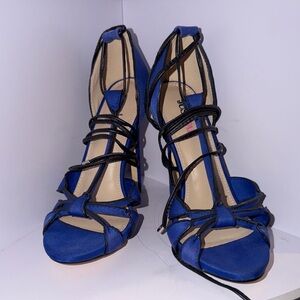 Elegant Blue Strappy Heels